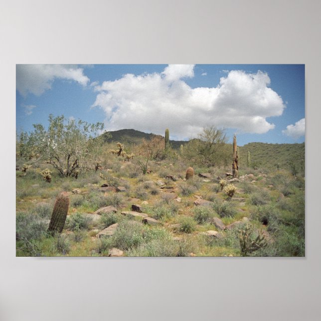 Sonoran Desert Pastoral Art Print Photo Posters (Front)