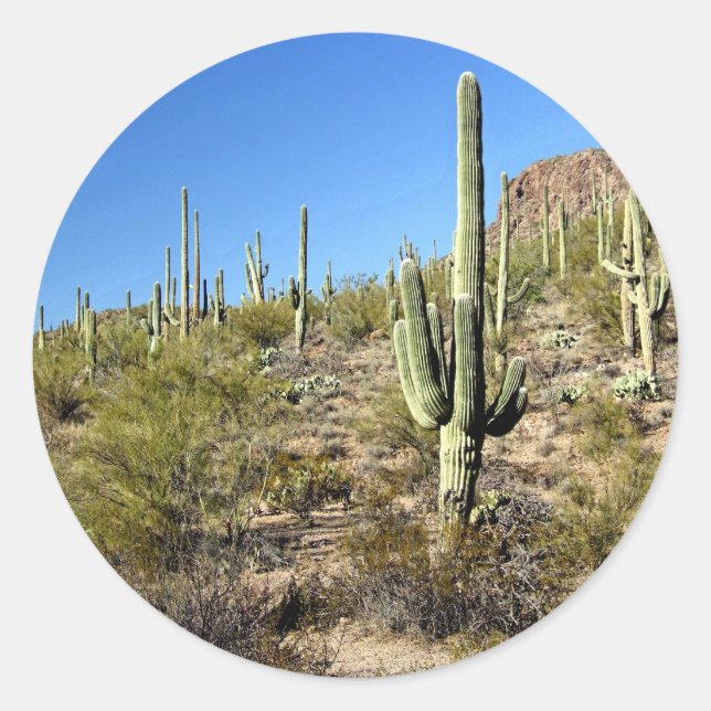 Sonoran Desert scene 03 Classic Round Sticker (Front)