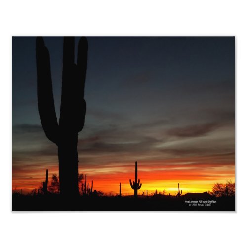 Sonoran Desert sunset Arizona with saguaro cactus Photo Print