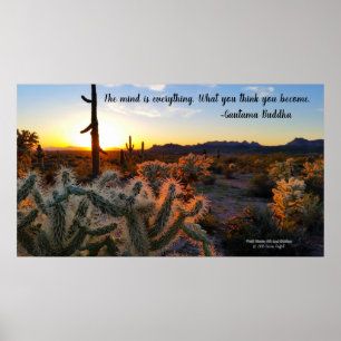 Sonoran Desert sunset Arizona with saguaro cactus Poster
