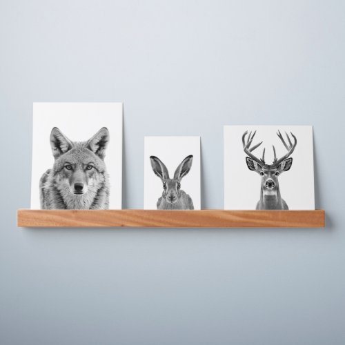 Sonoran Desert Woodland Animals Deer Coyote Rabbit Picture Ledge