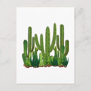 Sonoran Habitat Postcard