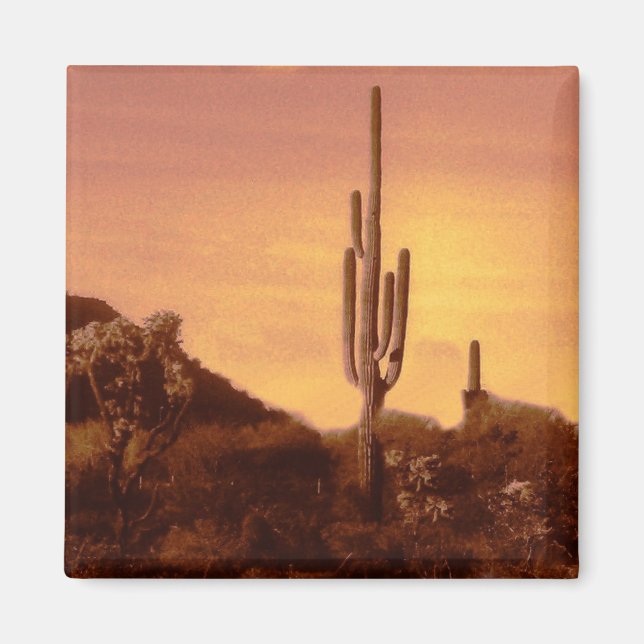 Sonoran sunset magnet (Front)