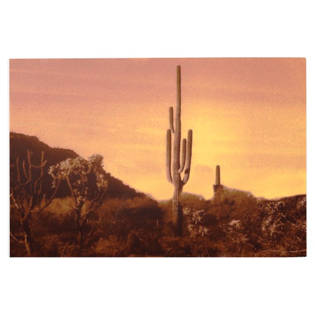 Sonoran sunset   metal print (Front)