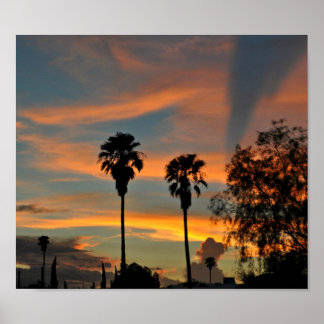 Sonoran Sunset Poster