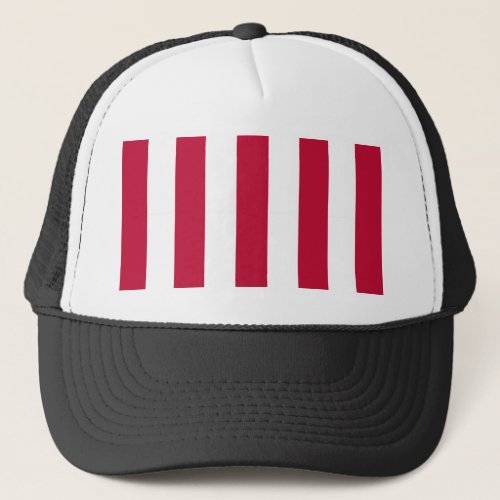 Sons of Liberty Flag Trucker Hat