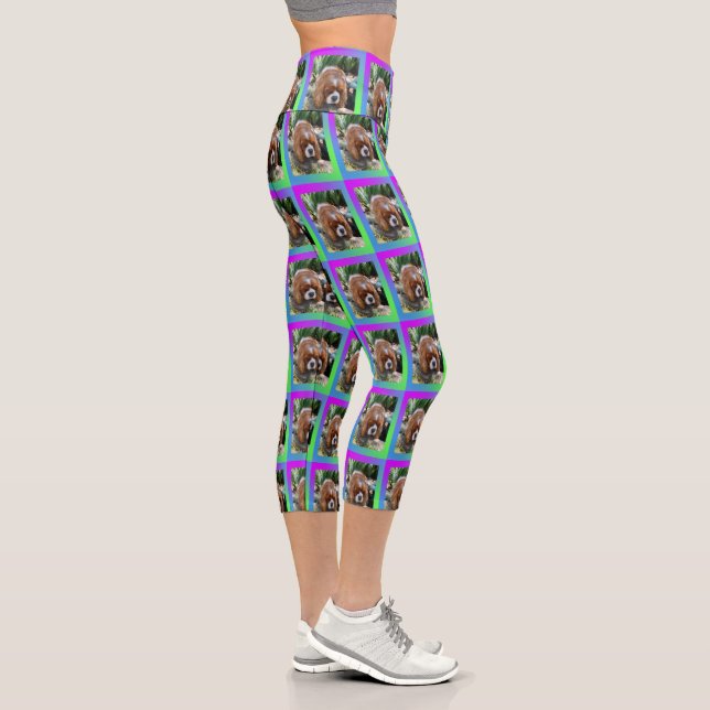 Sooky Face Cavalier Spaniel, Capri Leggings (Right)