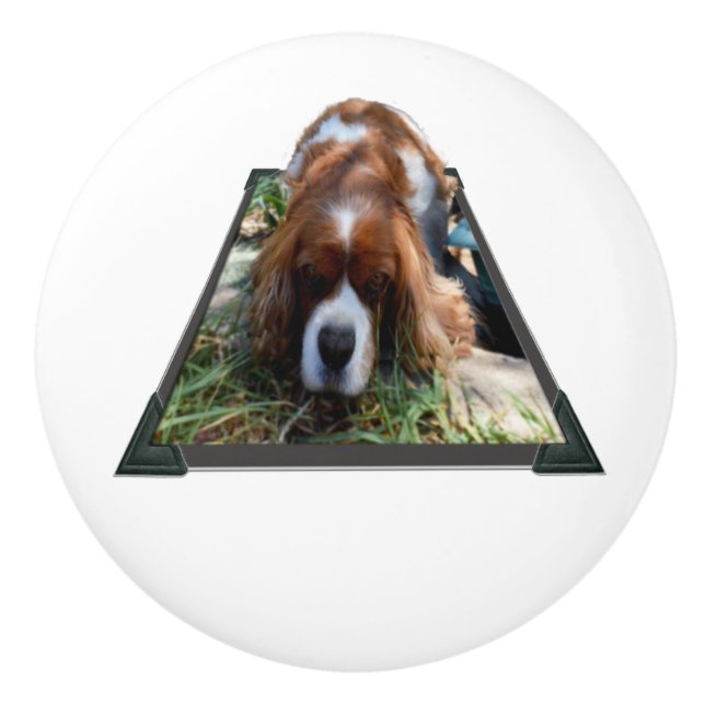 Sooky Face Cavalier Spaniel Popout Art, Ceramic Knob (Front)