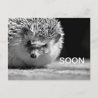 Soon Postcard