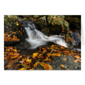 Soothing Water (Front Horizontal)