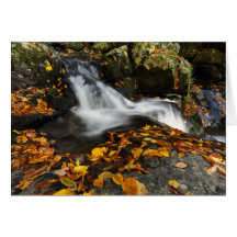 Soothing Water
