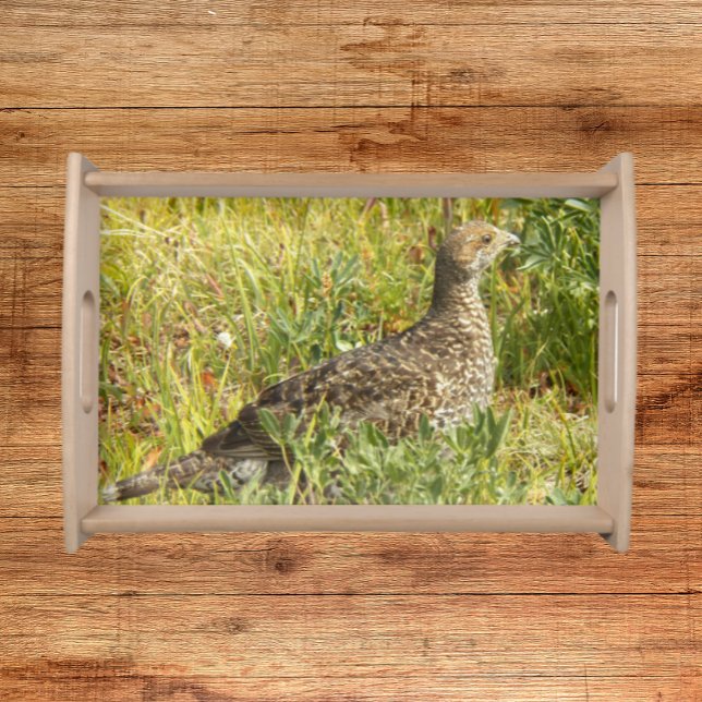 Sooty Grouse Wildlife Photo Serving Tray (In Situ)