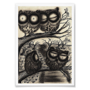 Sooty Owls Photo Print