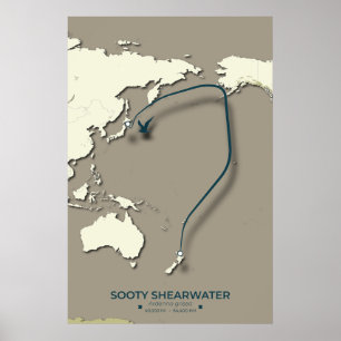 Sooty Shearwater Migration Map – Minimalist Poster