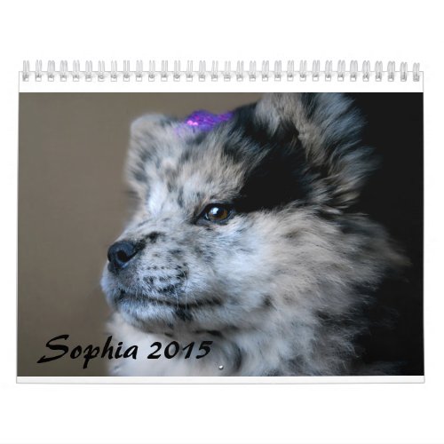 Sophia 2015 Custom Chow Calendar