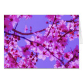 Sophie Card Template (Front Horizontal)