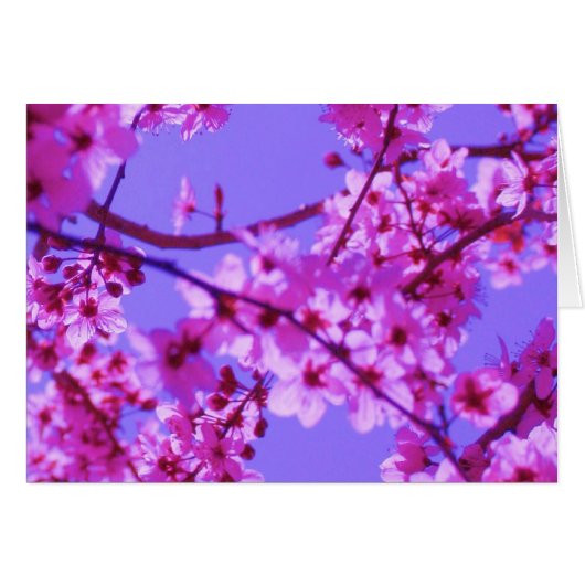 Sophie Card Template (Front Horizontal)