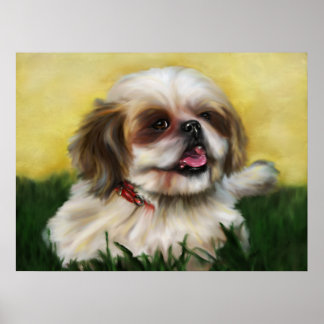 Shih Tzu Posters | Zazzle