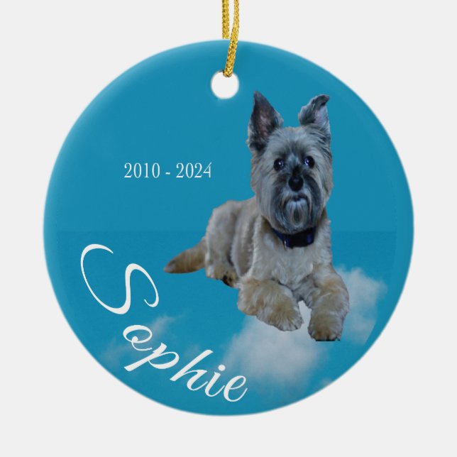 Sophie sympathy  ceramic ornament (Front)