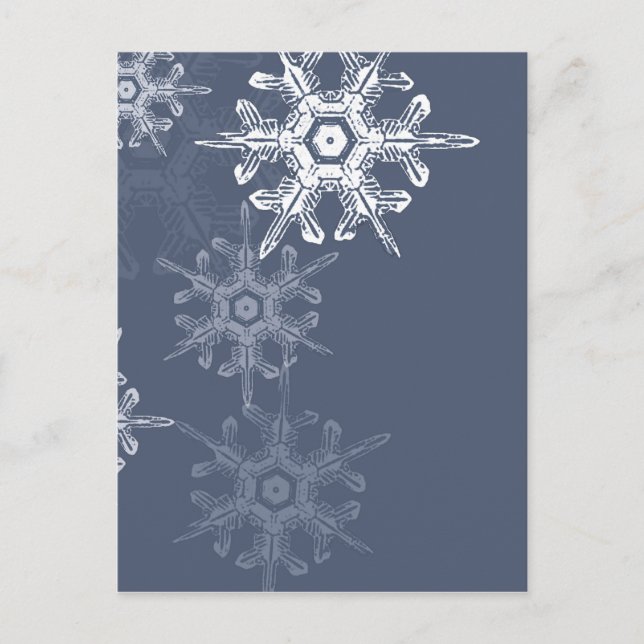 Sophisticated blue/gray snowflakes postcard (Front)