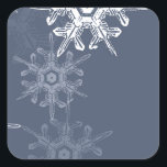 Sophisticated blue/gray snowflakes square sticker<br><div class="desc">Sophisticated and classy,  blue-ish gray snowflakes.</div>