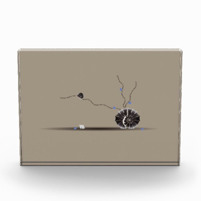 Sophisticated rare beautiful seashell garden poem  photo block (Front)