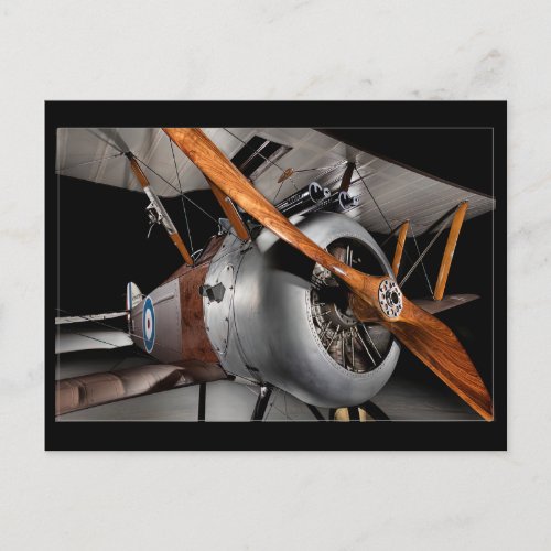 Sopwith Camel  Postcard