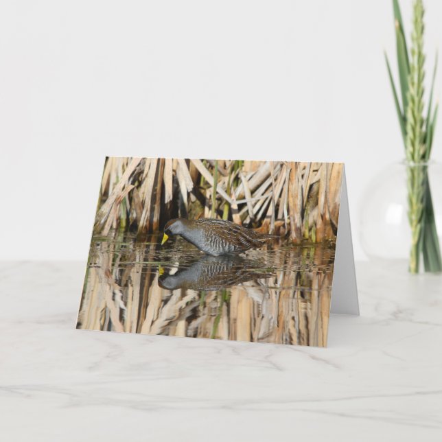 sora reflections greeting card (Front)