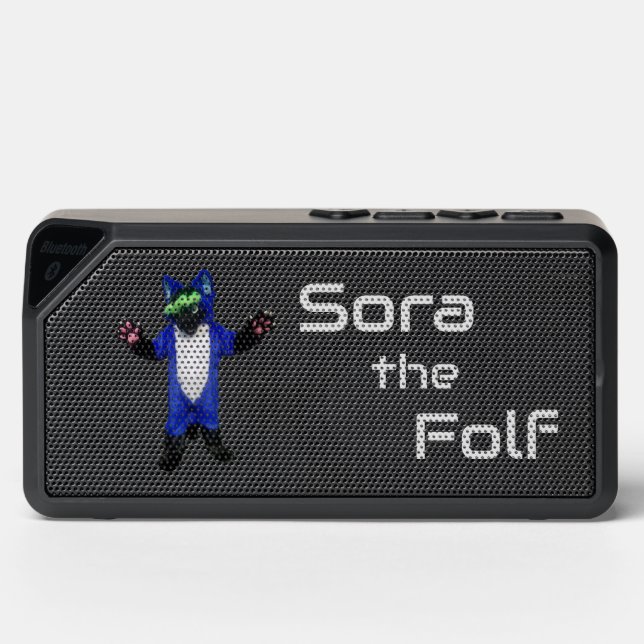 Sora speaker (Front)