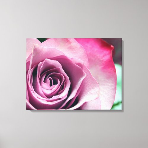 Sorbet Stretched Canvas Print