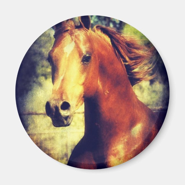 Sorrel Arabian Magnet (Front)