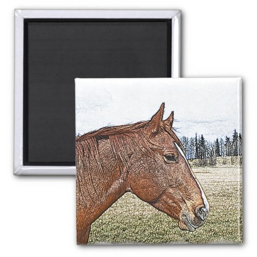 Sorrel Horse Portrait Equine Art Illustration Magnet