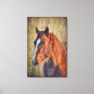Sorrel Horse Portrait on Rustic Grunge-effect Canvas Print