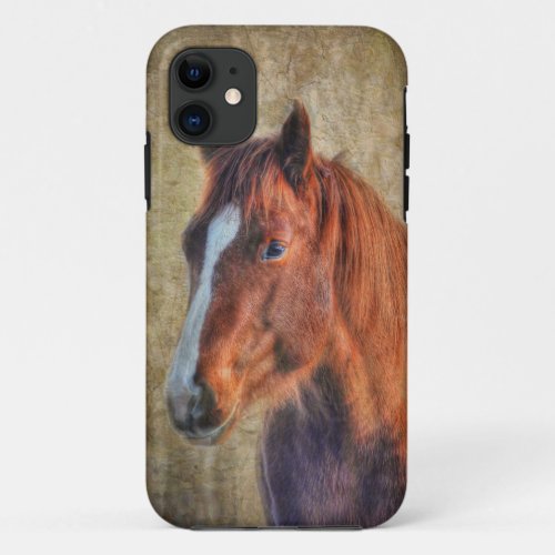 Sorrel Horse Portrait on Rustic Grunge_effect iPhone 11 Case