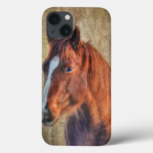 Sorrel Horse Portrait on Rustic Grunge_effect iPhone 13 Case