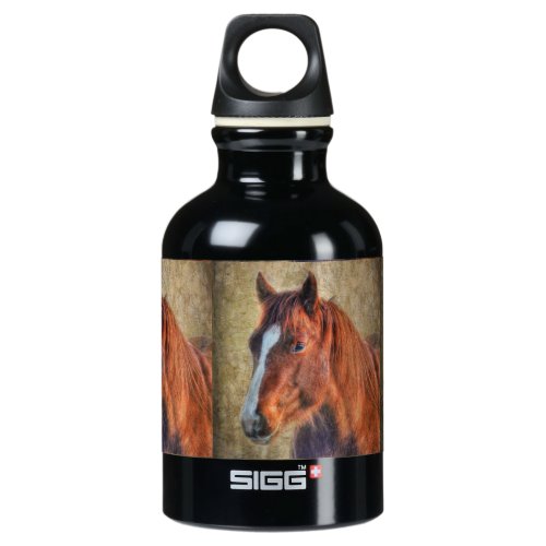 Sorrel Horse Portrait on Rustic Grunge_effect Water Bottle