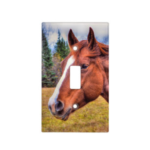 Sorrel Mare Horse-lover's Equine Photo Light Switch Cover