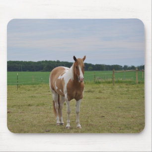 Sorrel Tobiano Paint Horse Mouse Pad