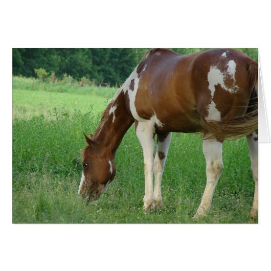 Sorrel Tobiano Paint Mare Cards (Front Horizontal)