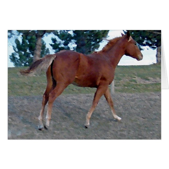 Sorrel Yearling Cards (Front Horizontal)