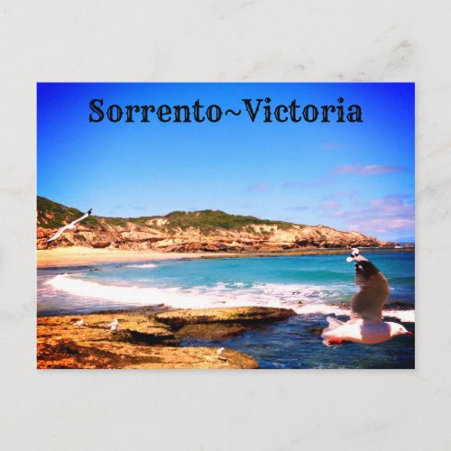Sorrento Victoria Australia Postcard