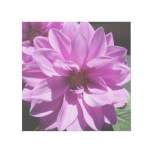Sorrow Pink Flower 12" x 12" Gallery Wrap