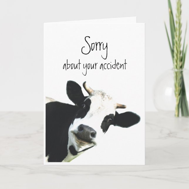 Sorry about Accident Flowers Fun Cow Holstein Card (Front)