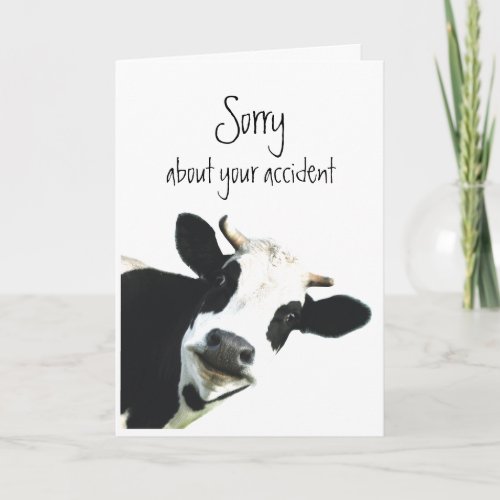 Sorry about Accident Flowers Fun Cow Holstein Card