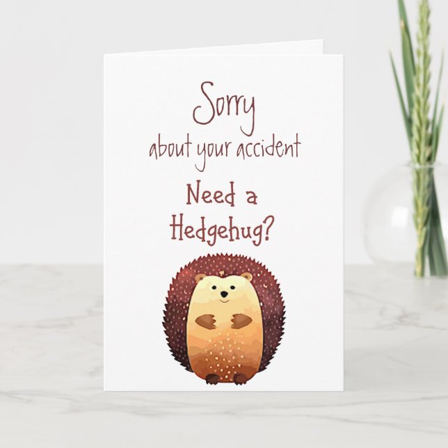 Sorry about Accident Flowers Fun Hedgehog Hug Card (Front)