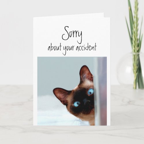 Sorry about Accident Flowers Fun Siamese Cat Pet Card