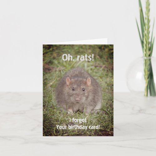 Sorry belated missed birthday _ rats card