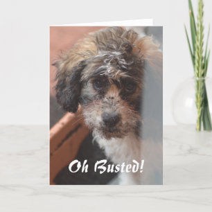 Sorry Card