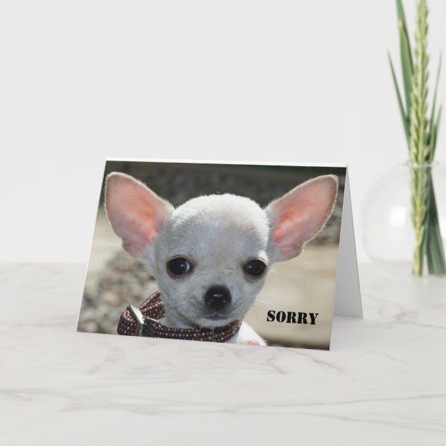 SORRY CARD (Front)