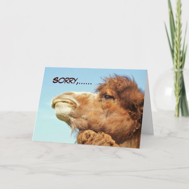 Sorry - Card (Front)